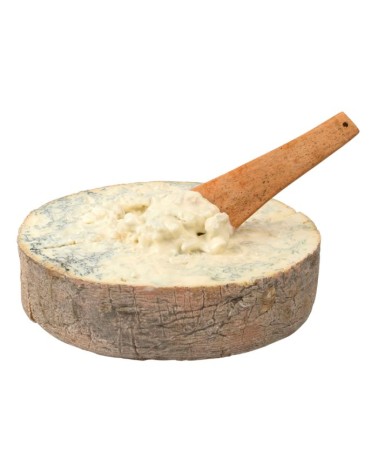 QUESO GORGONZOLA STRACHI'N CASTAGNA