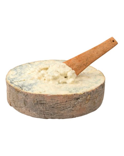QUESO GORGONZOLA STRACHI'N CASTAGNA