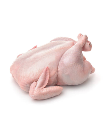 POLLO