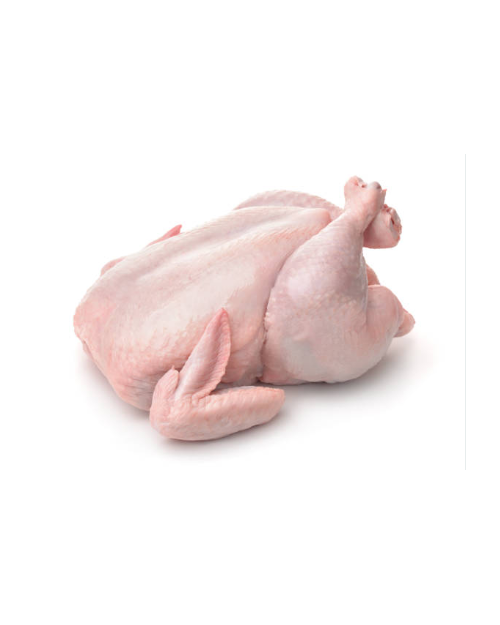 POLLO