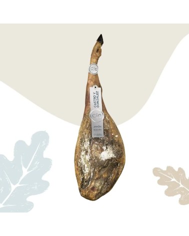 JAMON CASTRO SELECCION