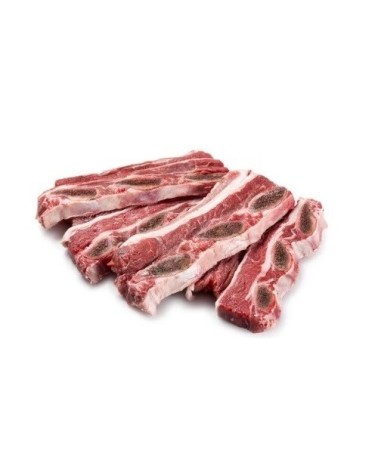 ESCUDO ANGUS