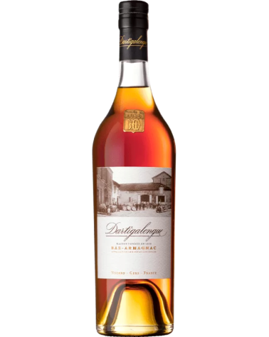ARMAGNAC DARTIGALONGUE 2009 70CL