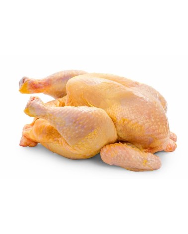 POLLO GRANO