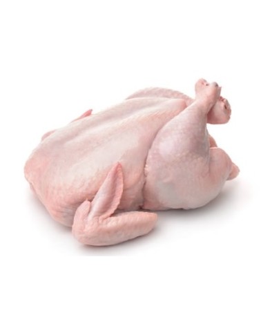 POLLO ENTERO