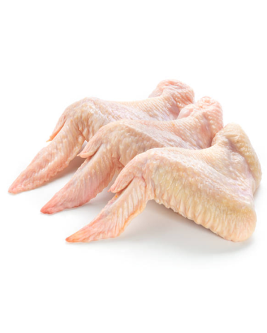 ALITA POLLO
