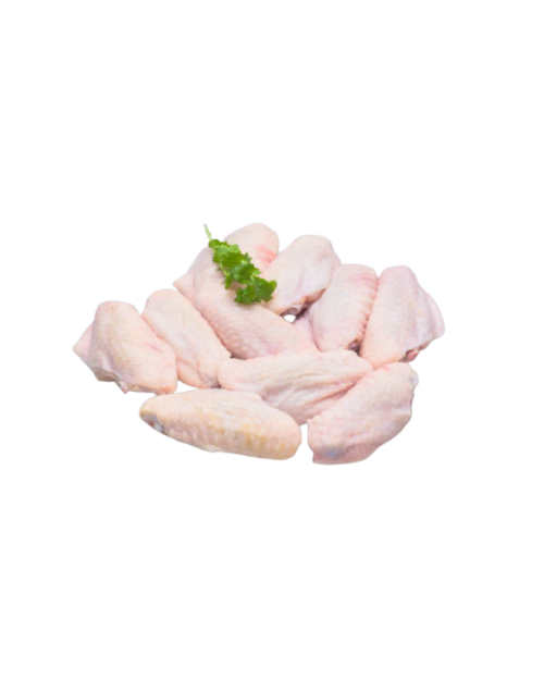 ALITA POLLO