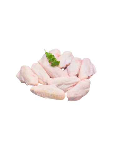 ALITA POLLO