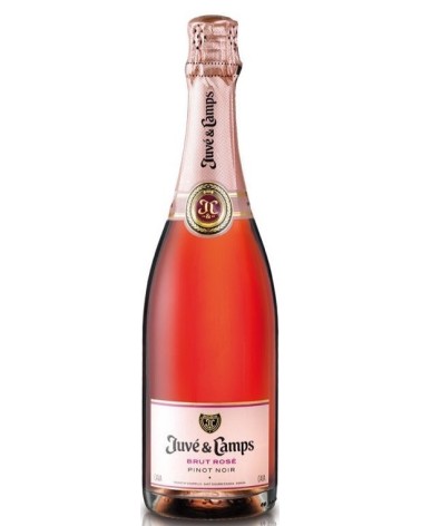 JUVE & CAMPS CAVA BRUT ROSADO 75CL